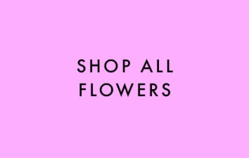 Shop Online